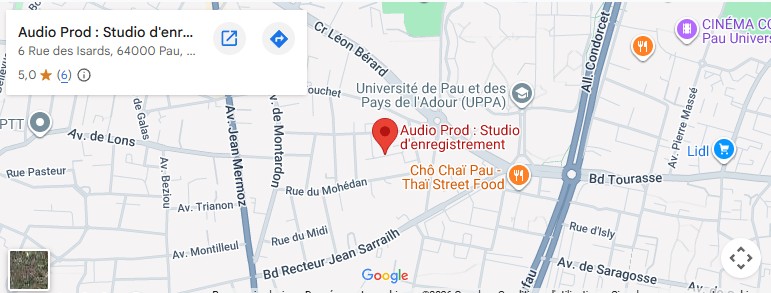 Google maps Hold on Pro 